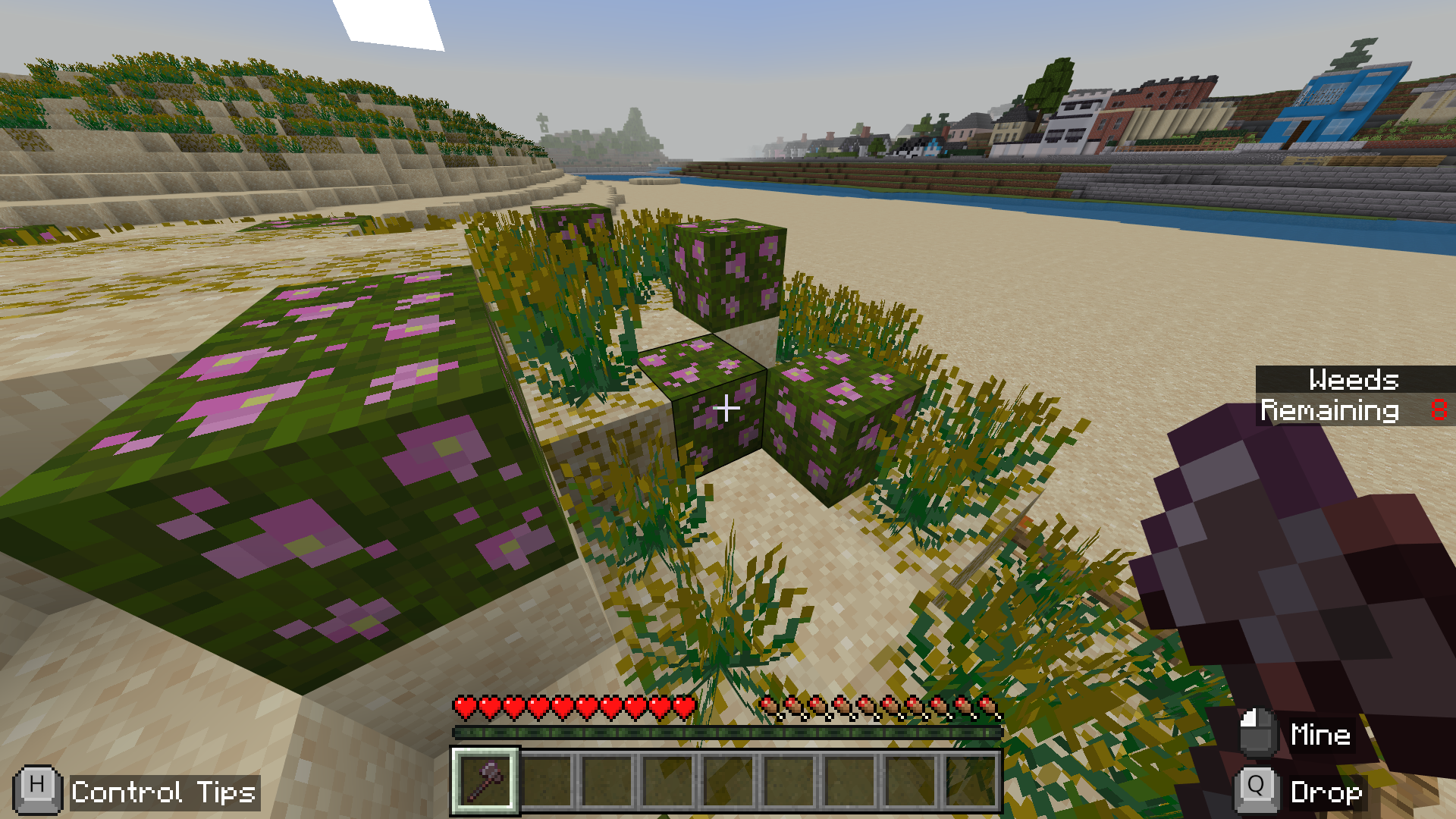Coast Craft — erosion detail